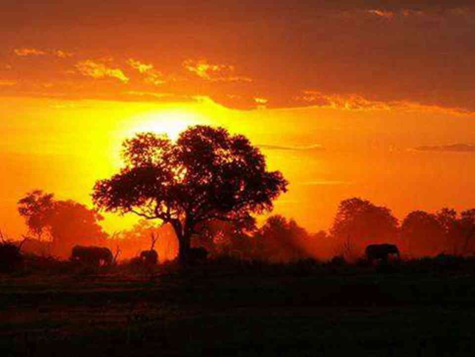 ��¡�ӹ��ҹ�԰�����͵ĳ����½�����������ȶ���ʪ