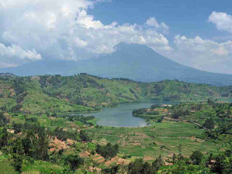 ά���ӹ��ҹ�԰ռ��790 000���꣬��ò���ֶ���