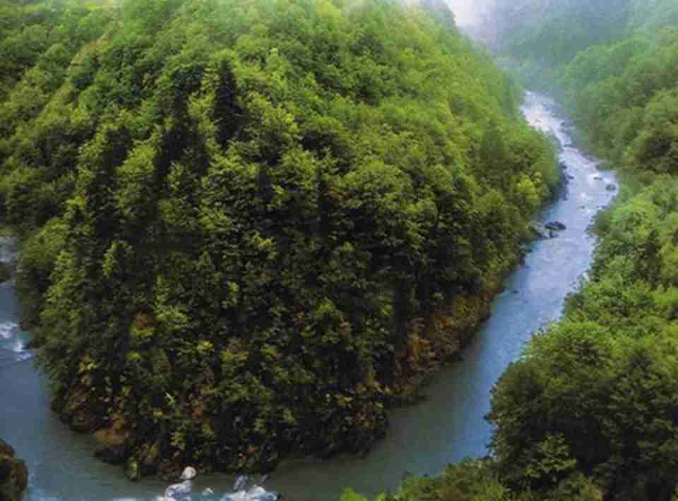 ��԰����Ȼ����Ѥ�����