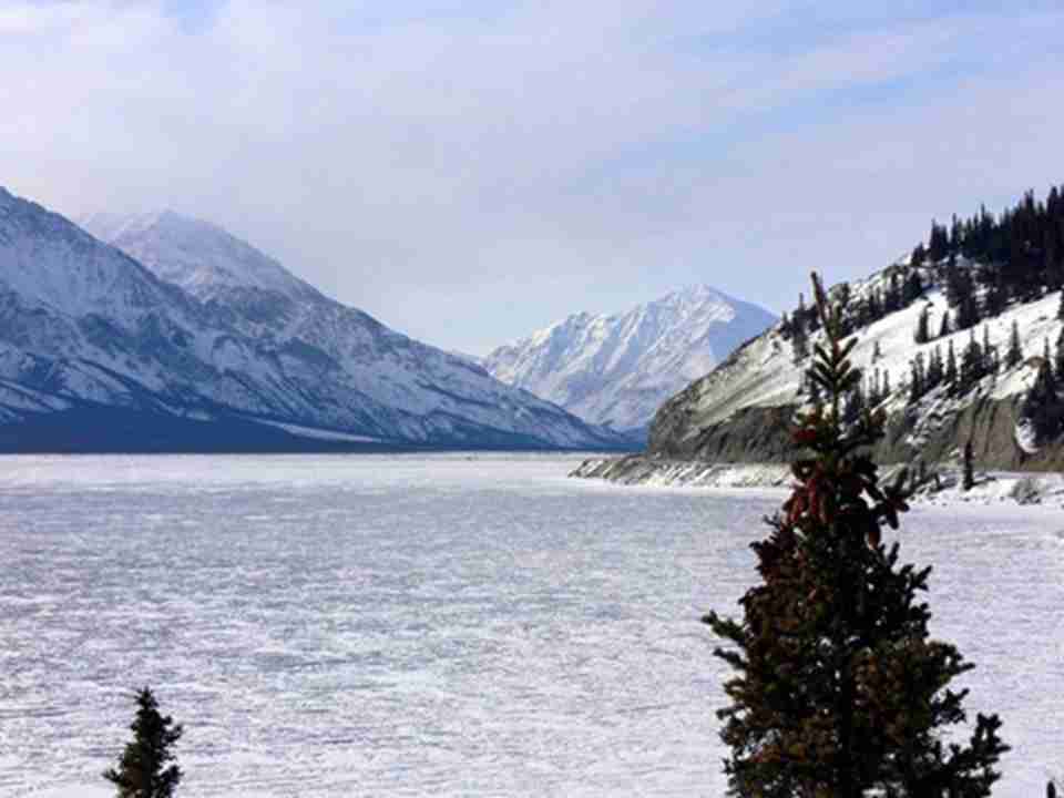 ��԰�ڿ��Կ����޴�ĳ�ϫ������ϵ������Ⱥ