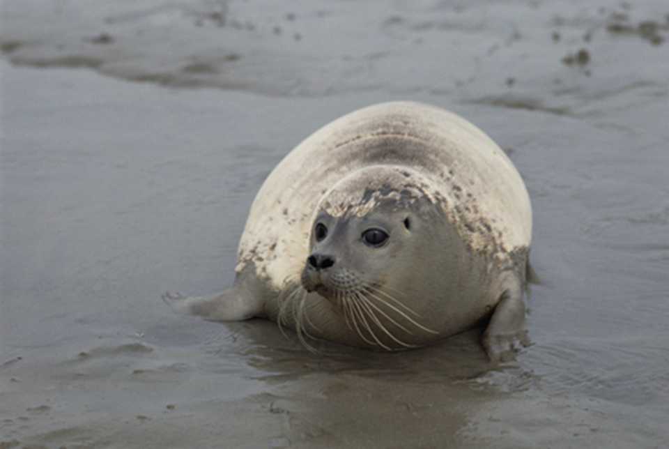 �ߵǺ������දֲ�����Ϣ֮��