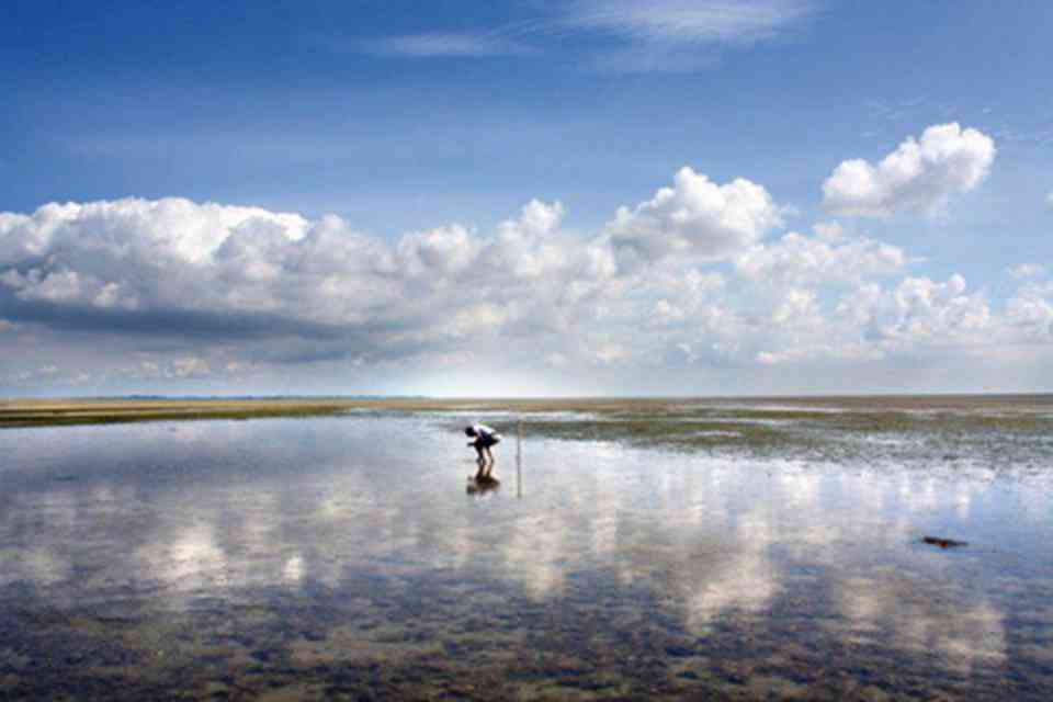 �ߵ�Ⱥ����һ����������ı���ʤ��