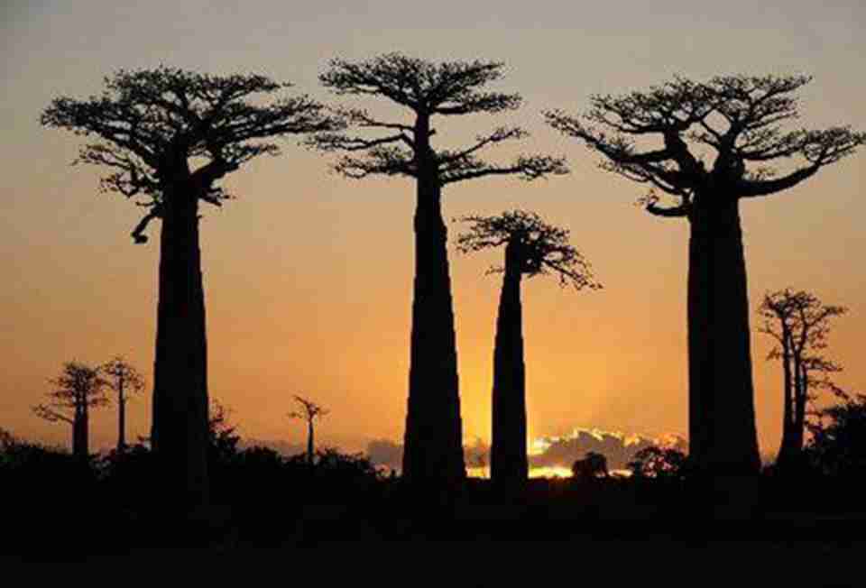 �������¡�����������Ȼ�������������˹�Ӿ���