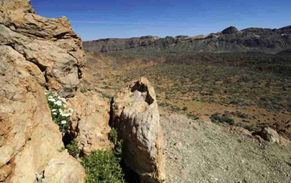 ̩�¹��ҹ�԰�����������ξ���