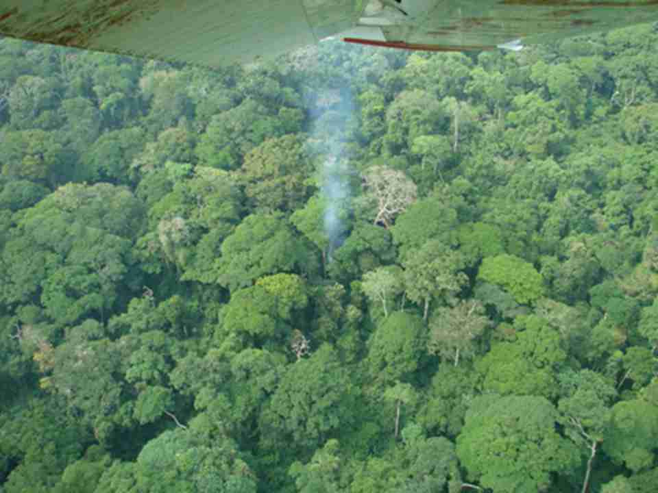 ����Ƥ¹Ұ�����ﱣ����ֲ������϶�