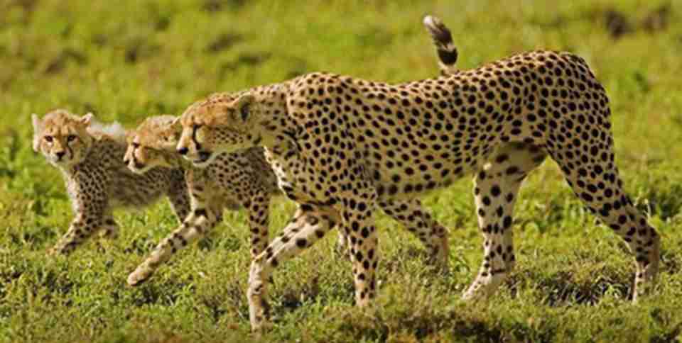 ��������ӵ������������Ȥ�Ļ���پ��ֵĶ���