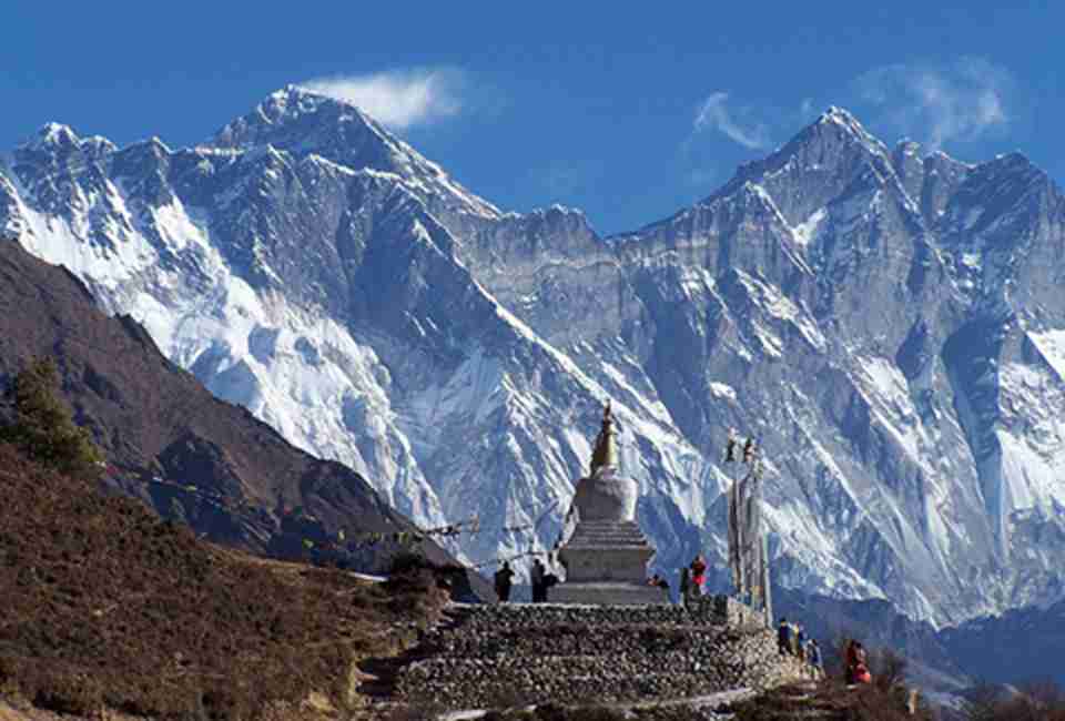 �����������ҹ�԰���Ჴ������������ʤ��