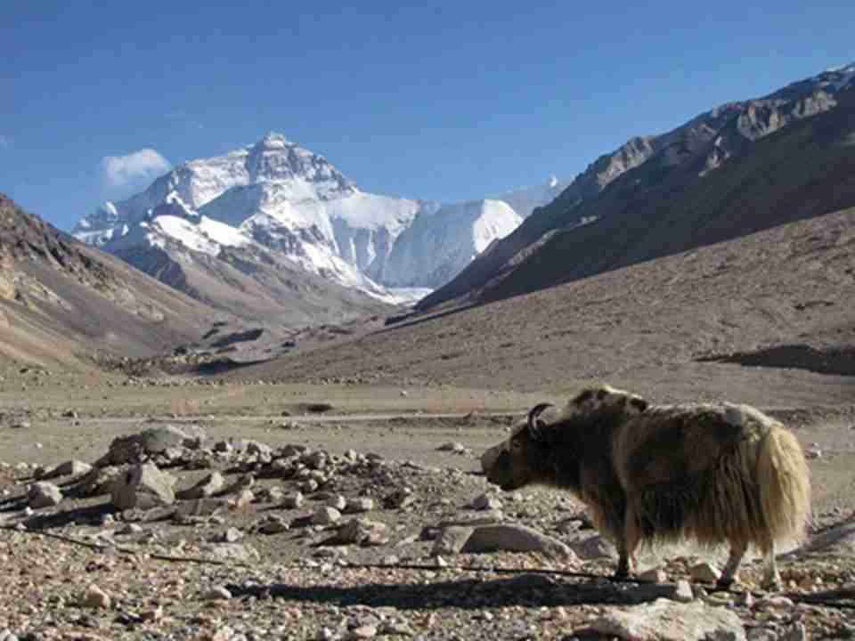 �����������ҹ�԰�ڶ������෱��