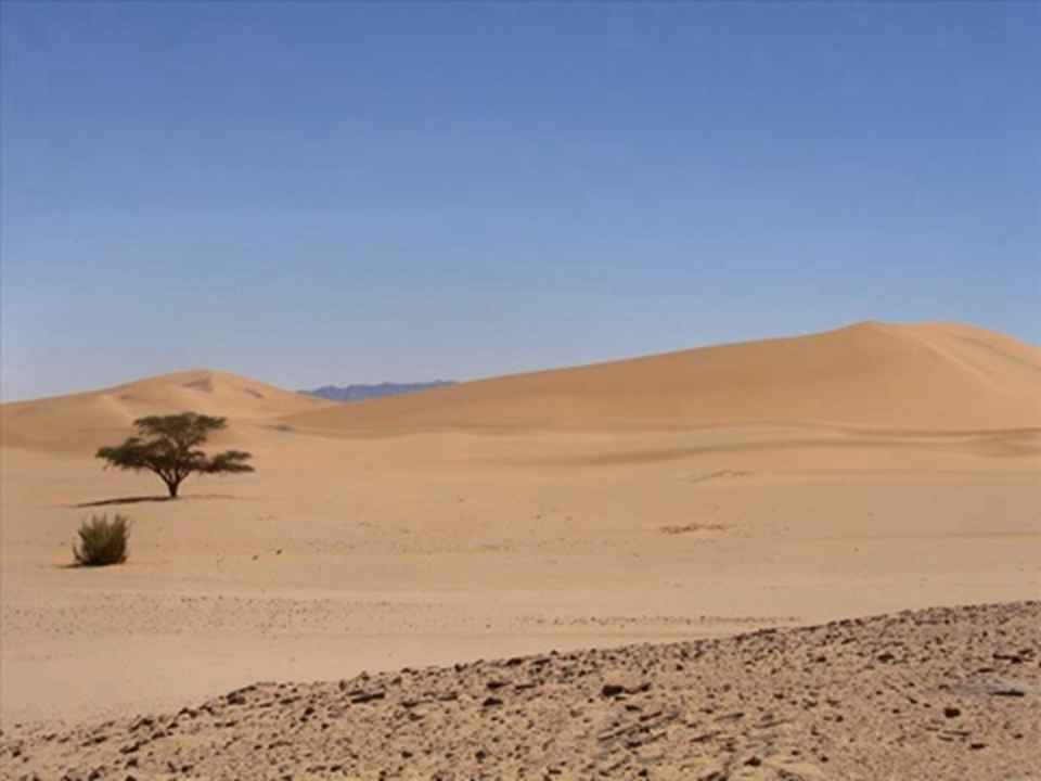 ��������̩������Ȼ������λ��������ɳĮ���б�������