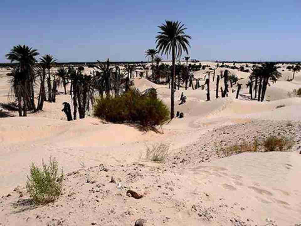 ���¶���̩������Ȼ�������Ƿ���������Ȼ������