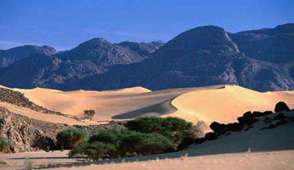 �������Ļ��׵���Ϊһ���γ��ں���͵Ĺ��ϵı��ʰ��