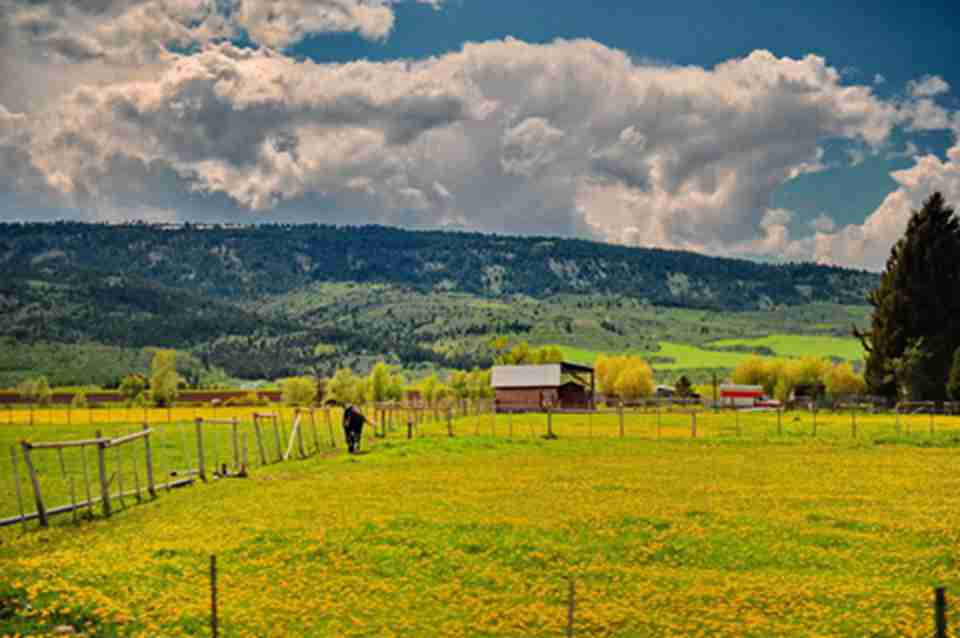 ���������ǻʼ��Գ�,1973��������������ҹ�԰