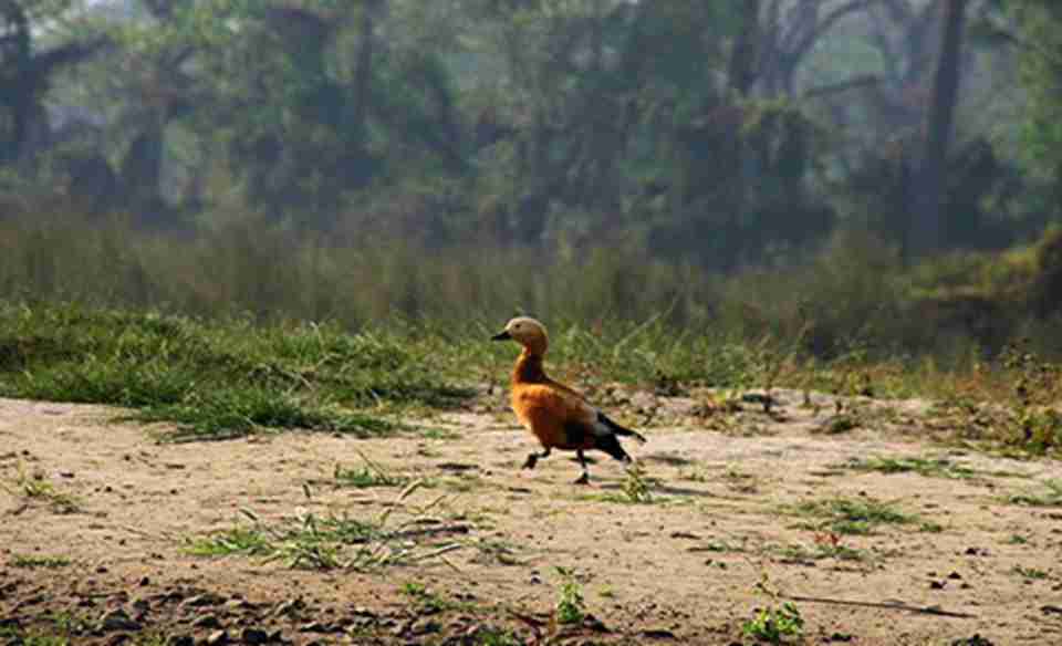 ���������ʼҹ��ҹ�԰�ܼ������ָ���������