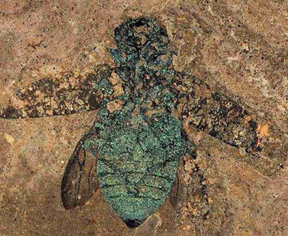 ��������ʯ��ַ��������޼�׵���滯ʯ����ʤ��