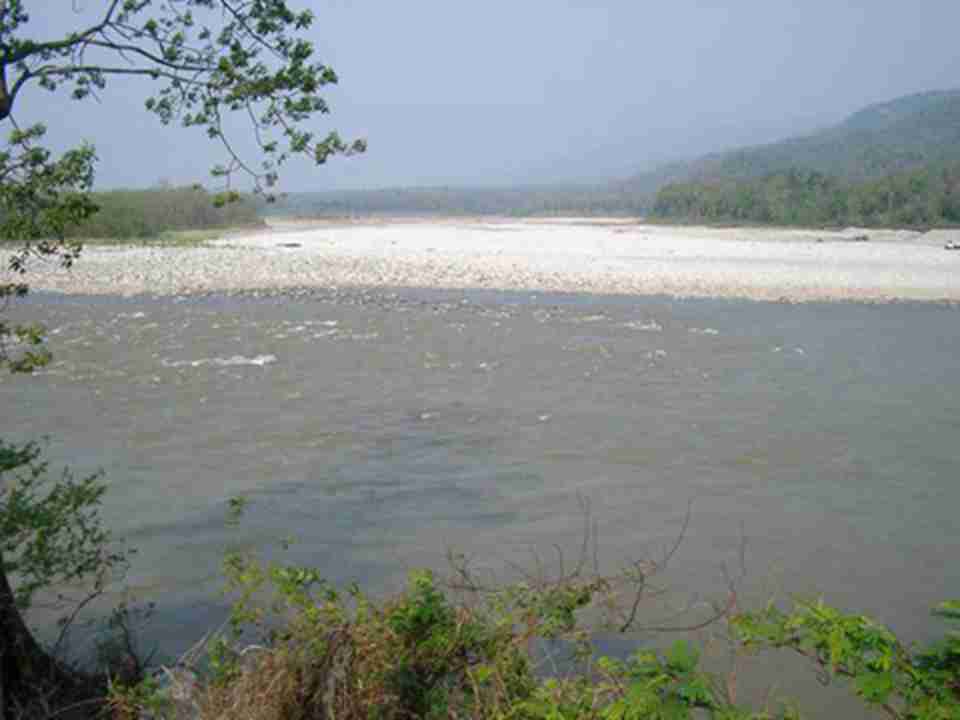 ����˹Ұ����ֲ�ﱣ������Ҳ������˹Ұ�����������