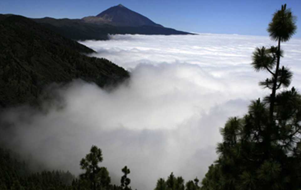 �ƺ���ɽ�ľ�����У�ʹ�ø���ַ���Ӿ�Ч����Ϊ��