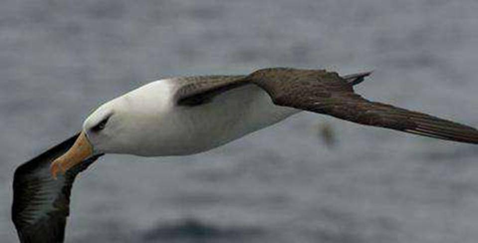 ��Щ������и��ĵ���Դ�Ͷ��ֶ���������