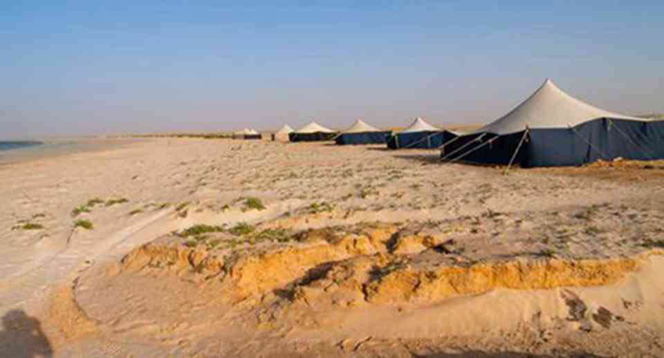 ��������ʯ�����ҹ�԰�����ǹ���ë�������ǵĹ��ҹ�԰