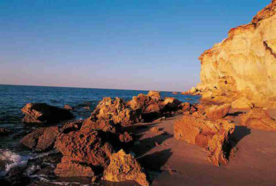 ��԰�������岼�ĺ������೤�ĺ�����