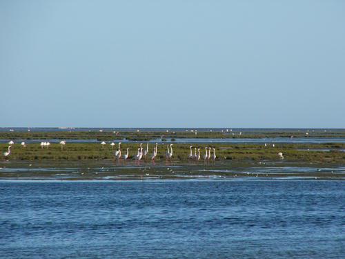 ������Ǩ��������ڰ�������ʯ�����ҹ�԰Խ��