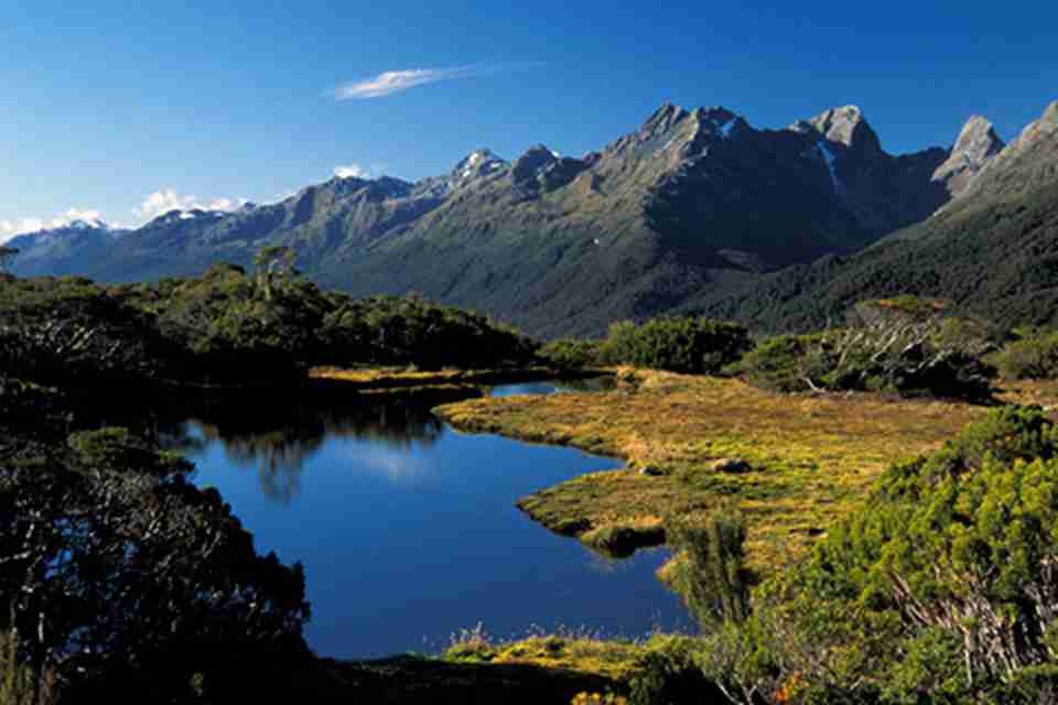 Ͽ����ҹ�԰