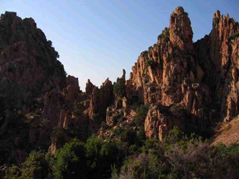 �����İ��ҿ�