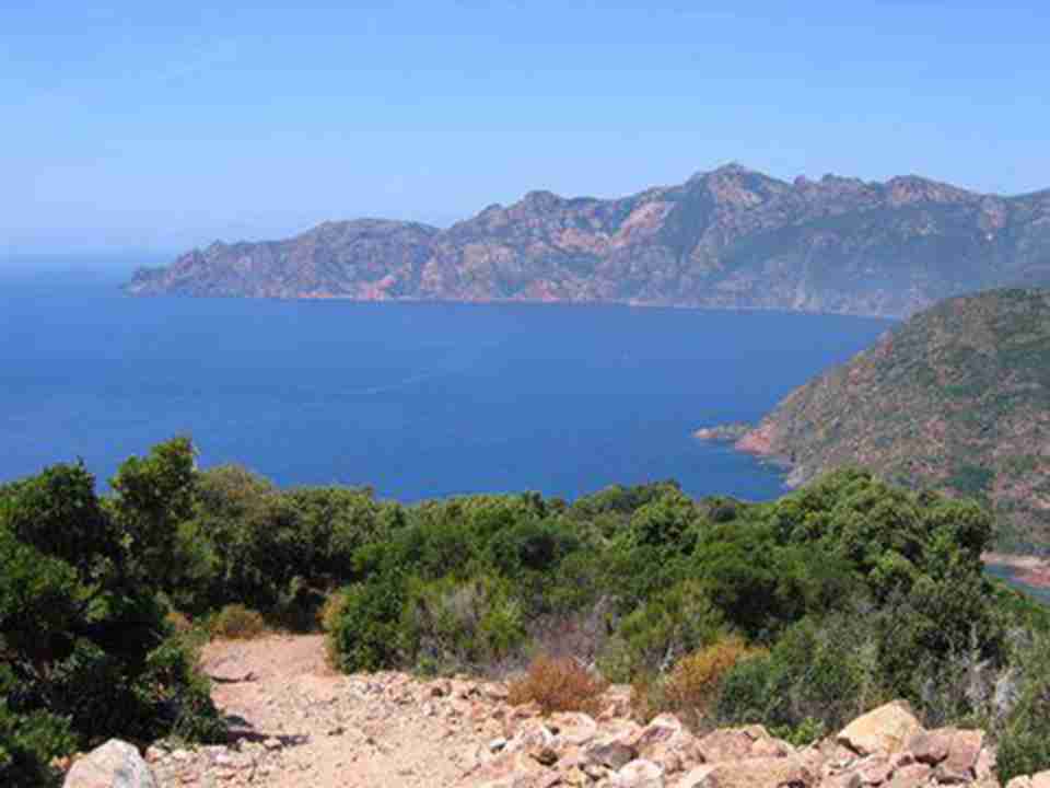 ï�ܵĹ�ľ��ֲ��