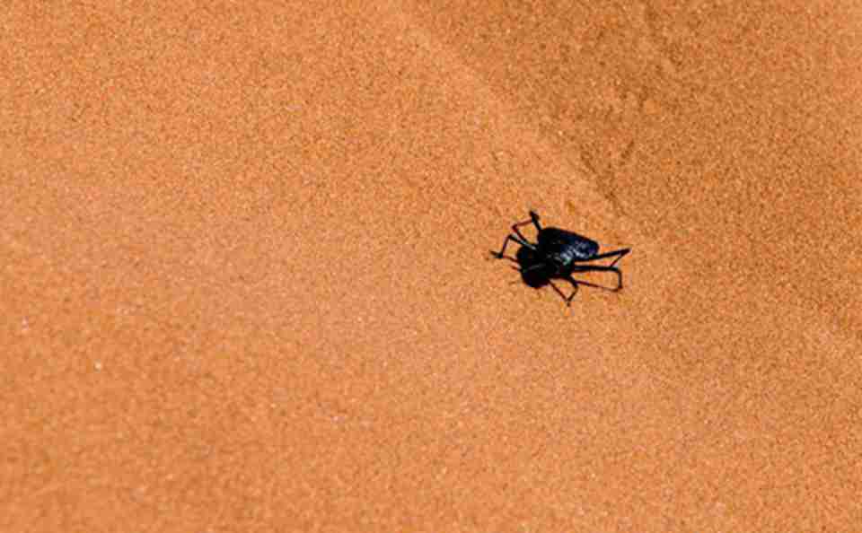 �Ӻ���ӿ�������������һЩˮ�֣�ʹ�ü׳������ȶ����ܹ����