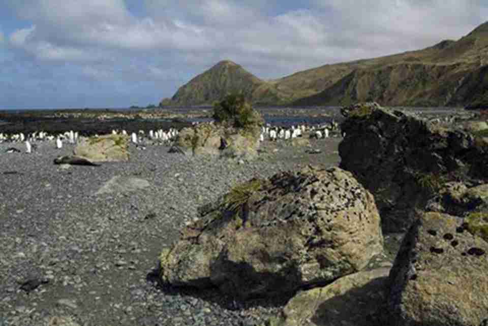 ����ﵺ��λ���ϴ����һ������