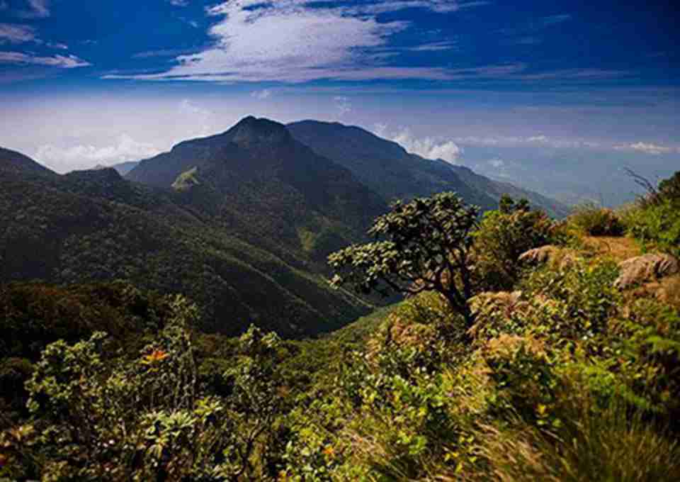 ˹����������ߵ�������˹�����������ϲ�