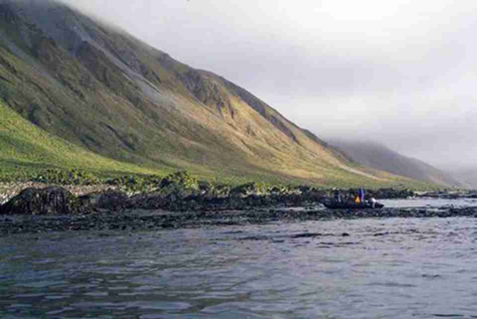 ��������м�����Ҫ�ĵ�����������