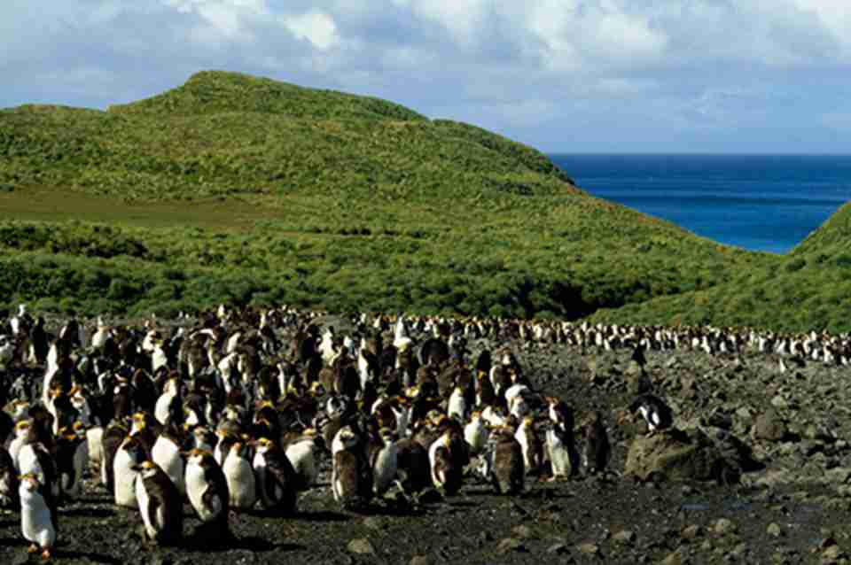 ����ﵺ��Ұ����ֲ�����԰