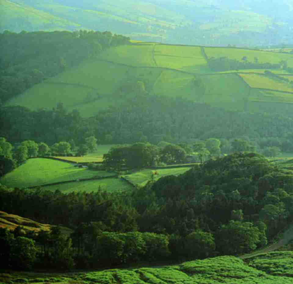 ͯ&middot;��&middot;������Ұ�����ﱣ������̩��������Ȼ������