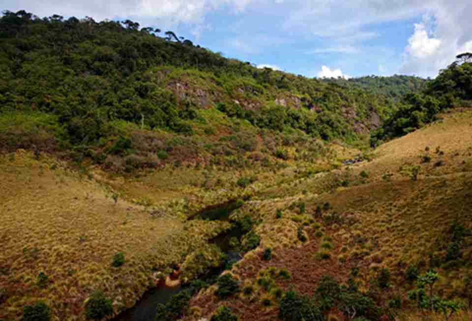 ˹����������ߵ���ά���¶���˹�屣������������ƽԭ���ҹ�԰���ǿ���˹�����ֵ����