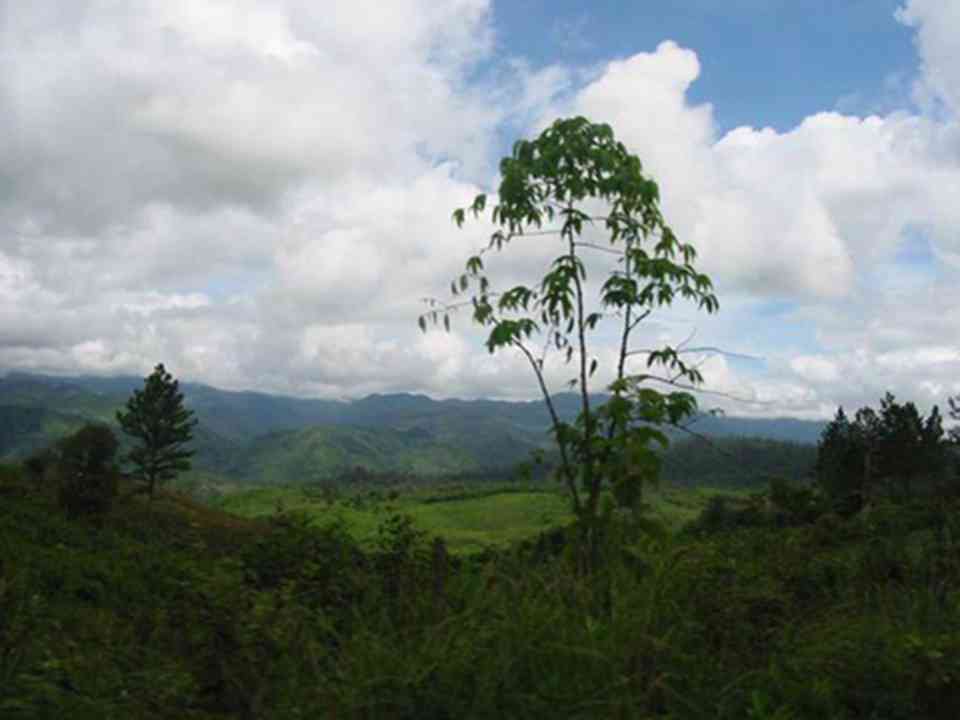 ɭ���к��зḻ���˵�ֲ��