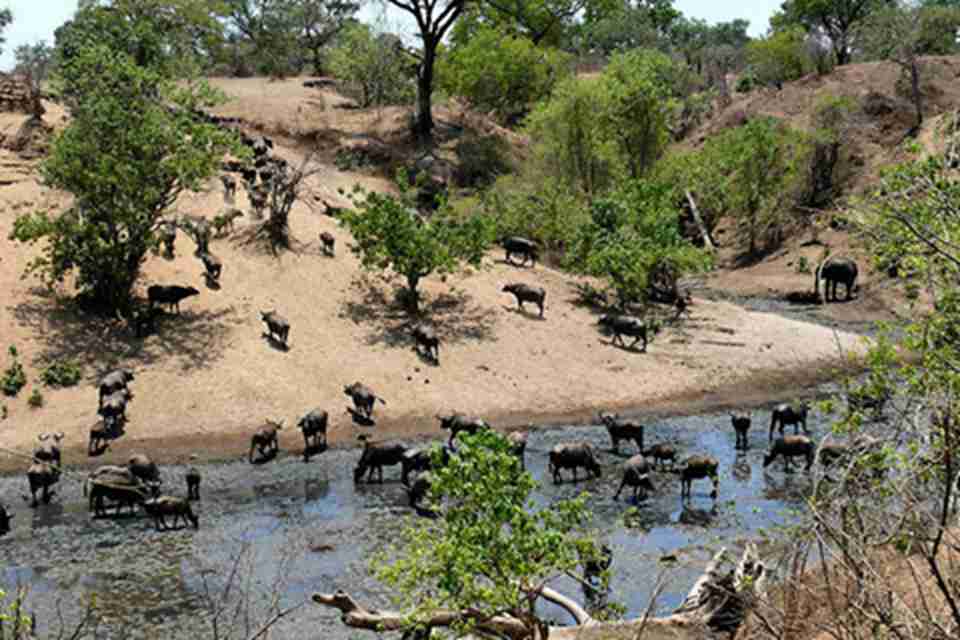 ���ɲ���˹���ҹ�԰�����Ⱥ��ж�����Ȼ������������Դ�ḻ����