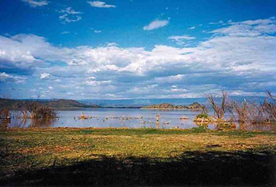 �羰���������ĺ���