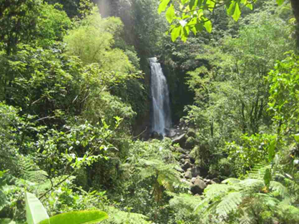 ����������ң��ම�͵�Ͽ��