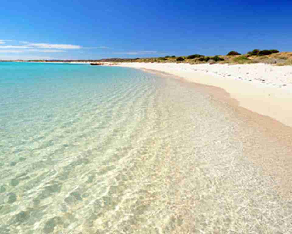 �����޺���������ңԶ�İĴ�����������