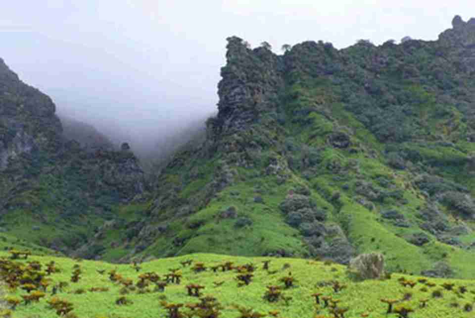 ���ڵ�ֲ��ֲ����ֳ����Եķִ�����