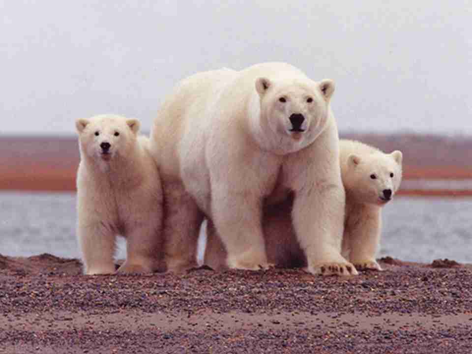 �����ڱ���������ϡ�����кܶ�