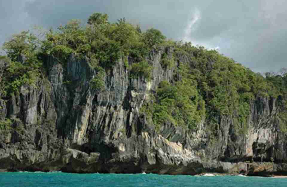 �����������ºӹ��ҹ�԰�������ָ����ĵ���