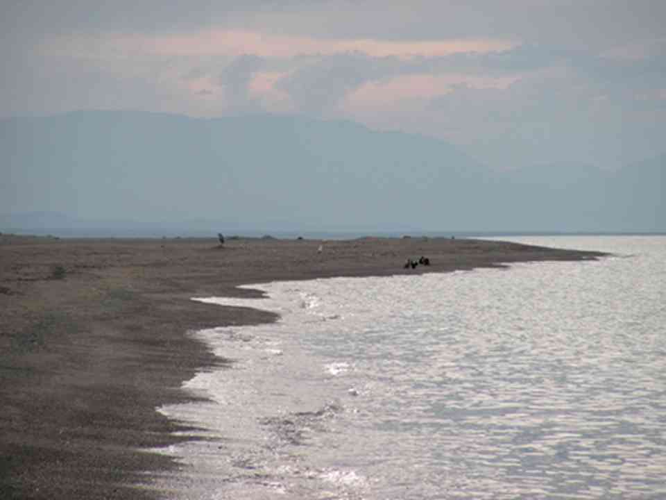 �ڲ��պ���һ���޴��ǳ��ˮ�������Ǻ���ˮ��ͺ������Ҫ��Ϣ��