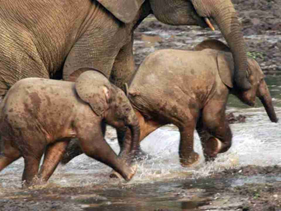 ɣ�Ӻ��Ų����Ǵ�����ֲ�����Ϣ��