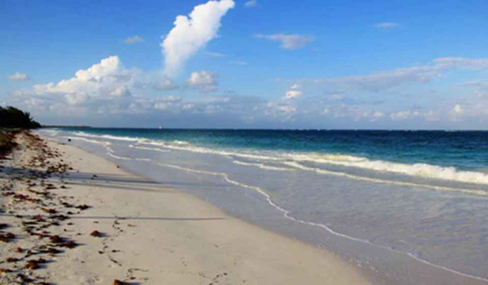 ʥ������Χ�м��ձȺ����ƣ�������һ����50�׵İ�����Ϊ��Ȼ����