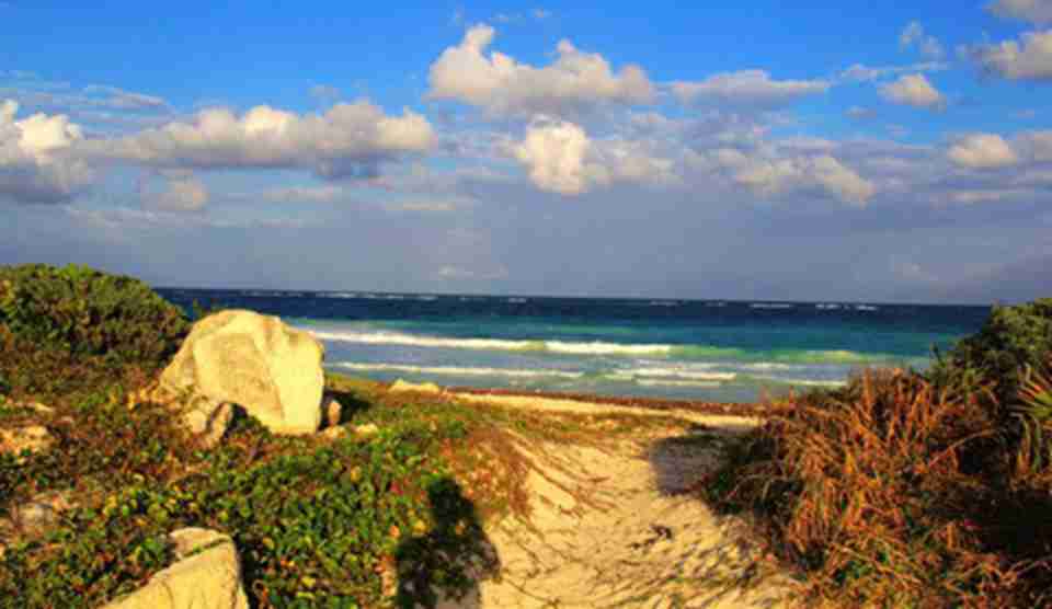 ��һ���ﱣ���������ȴ�ɭ�֡������ֺ������