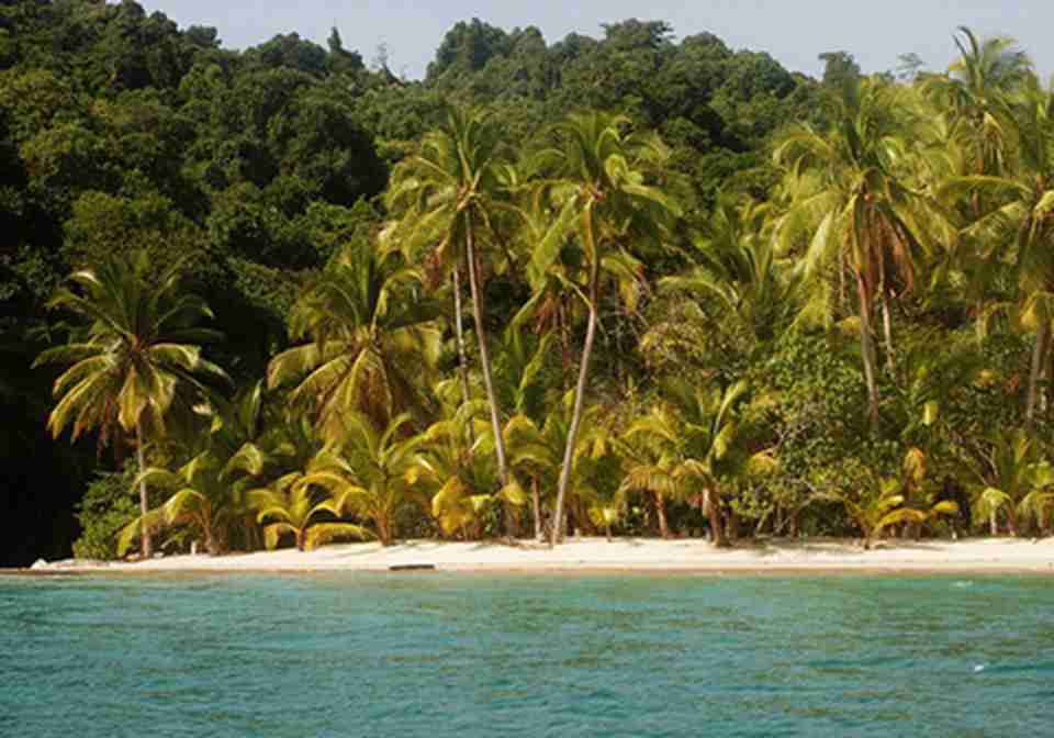 ����͵����ҹ�԰�ǿ�ѧ�ҽ����о�����Ҫ����Ȼʵ����