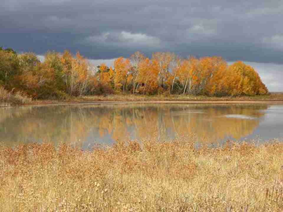 ���ſˣ��������˸ɲ�ԭ���Ⱥλ�ڹ�����˹̹����