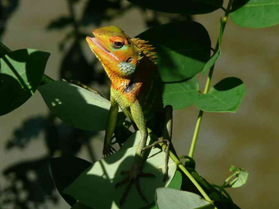 �����������Ÿ��ָ�����Ұ������