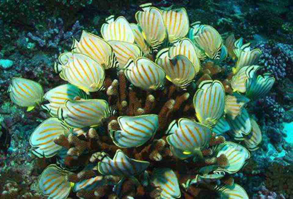 �ܶຣ������������õ��˺ܺõı���